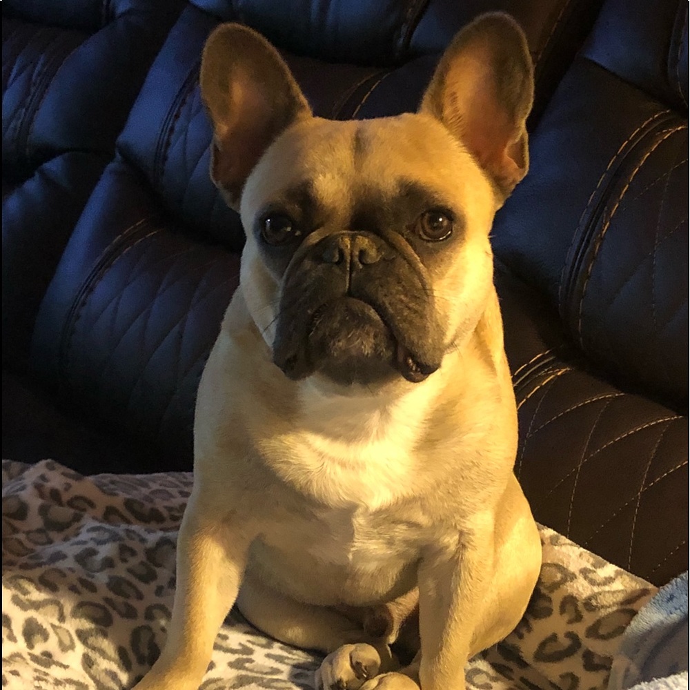 🌸💕My sweet boy!🌸💕